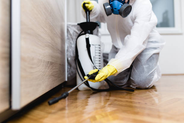 Pest Control for Restaurants in Loretto, TN