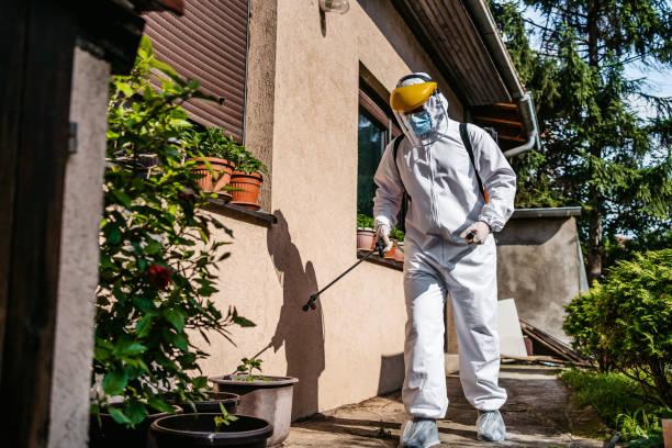 Best Commercial Pest Control Services  in Loretto, TN
