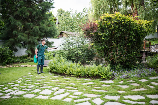 Best Pest Inspection Near Me  in Loretto, TN