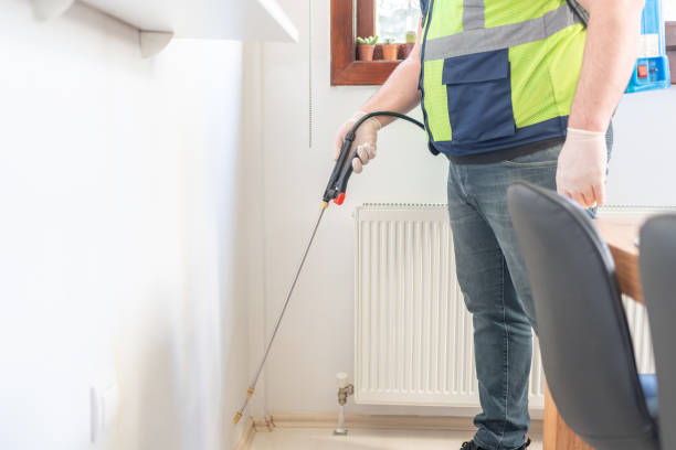Reliable Loretto, TN Pest Control Solutions