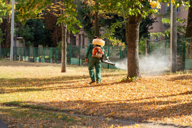 Best Wildlife Control Services  in Loretto, TN