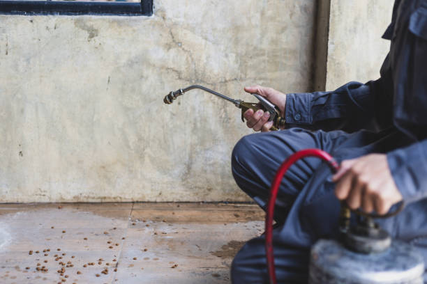 Best Pest Control Near Me  in Loretto, TN